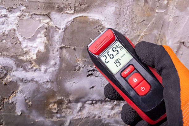 Best Health and Safety Mold Remediation in Raintree Plantation, MO